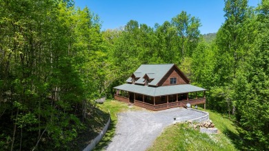 Nestled by two and a half acres of hardwood forest this - Lake Home For Sale in Robbinsville, North Carolina