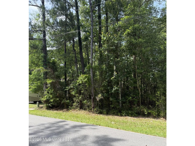 Nice lot in Diamondhead. This lot has easy access to all - photo 1