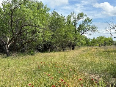 (private lake, pond, creek) Acreage For Sale in Abilene Texas