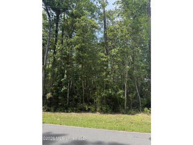 Nice lot in Diamondhead. This lot has easy access to all - photo 2