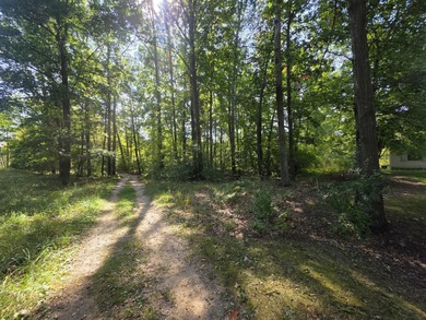 Half Moon Lake - Montcalm County Acreage For Sale in Stanton Michigan