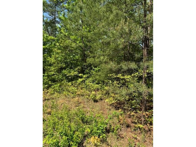 Valley River Lot For Sale in Marble North Carolina