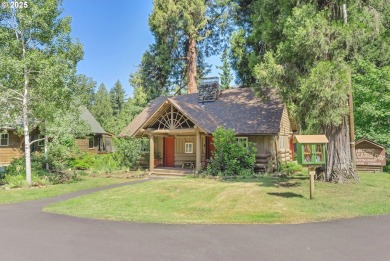 Lake Home For Sale in Mckenzie Bridge, Oregon