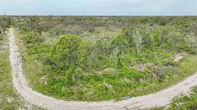 An extraordinary opportunity awaits in one of Charlotte County's - photo 3