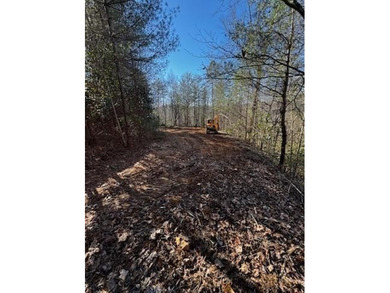 Valley River Lot For Sale in Marble North Carolina