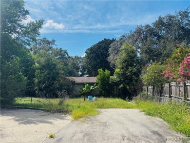 Lake Home For Sale in Dunnellon, Florida