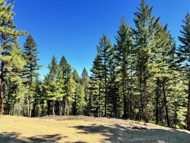 Bitterroot River - Ravalli County Acreage For Sale in Hamilton Montana