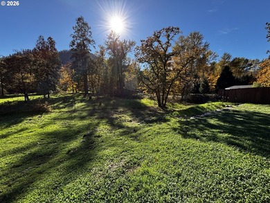 Make your dreams come true in this NEW CONSTRUCTION 2,296 SF - photo 9