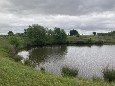 (private lake, pond, creek) Acreage For Sale in Newcastle Texas