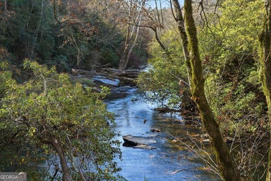 Lake Acreage For Sale in Jasper, Georgia