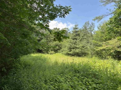 Lake Lot For Sale in Andover, Vermont