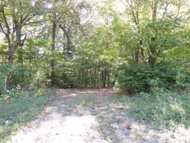 Lake Santee Lot For Sale in Greensburg Indiana