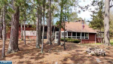 Lake Home For Sale in Cook, Minnesota