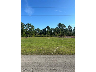 Lehigh Acres Area Lot For Sale in Lehigh Acres Florida