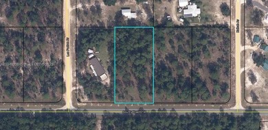 (private lake, pond, creek) Lot For Sale in Other City - In The State Of Florida Florida