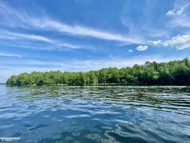 Lake Acreage For Sale in Cook, Minnesota