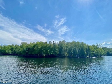 Lake Acreage For Sale in Cook, Minnesota
