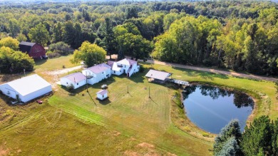 Lake Home For Sale in Evart, Michigan