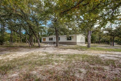 Lake Home For Sale in Hawk Cove, Texas