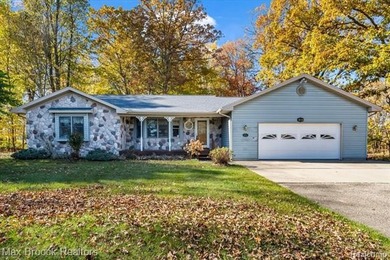 Lake Home For Sale in Mayfield, Michigan