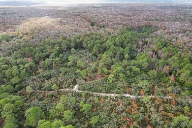 Explore the Untamed Beauty and Opportunity of Florida's Nature - photo 1