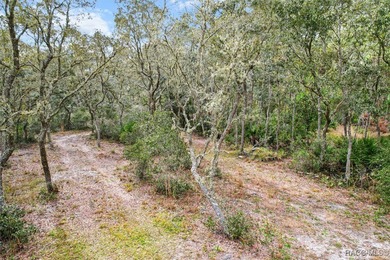 Explore the Untamed Beauty and Opportunity of Florida's Nature - photo 3