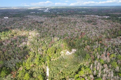Explore the Untamed Beauty and Opportunity of Florida's Nature - photo 5