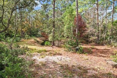 Explore the Untamed Beauty and Opportunity of Florida's Nature - photo 10