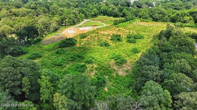 Rare opportunity to own approximately 17.65+/- acres in Brandon - photo 11