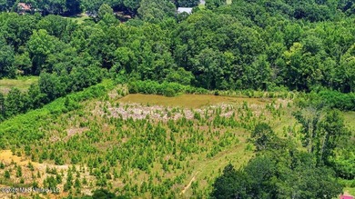 Rare opportunity to own approximately 17.65+/- acres in Brandon - photo 12