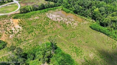 Rare opportunity to own approximately 17.65+/- acres in Brandon - photo 13