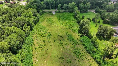 Rare opportunity to own approximately 17.65+/- acres in Brandon - photo 15