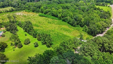 Rare opportunity to own approximately 17.65+/- acres in Brandon - photo 16