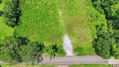 Rare opportunity to own approximately 17.65+/- acres in Brandon - photo 17
