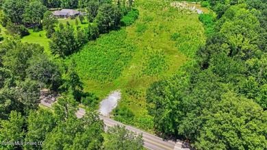 Rare opportunity to own approximately 17.65+/- acres in Brandon - photo 19