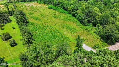 Rare opportunity to own approximately 17.65+/- acres in Brandon - photo 20