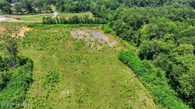 Rare opportunity to own approximately 17.65+/- acres in Brandon - photo 21