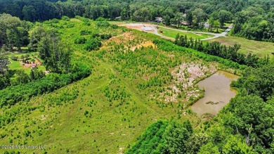 Rare opportunity to own approximately 17.65+/- acres in Brandon - photo 22