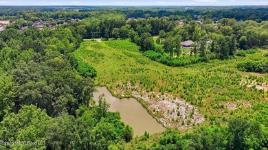 Rare opportunity to own approximately 17.65+/- acres in Brandon - photo 23