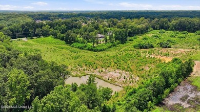Rare opportunity to own approximately 17.65+/- acres in Brandon - photo 24