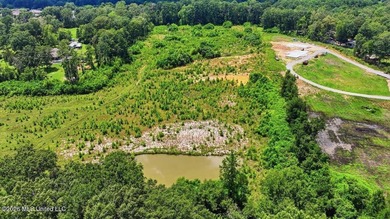 Rare opportunity to own approximately 17.65+/- acres in Brandon - photo 25