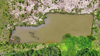 Rare opportunity to own approximately 17.65+/- acres in Brandon - photo 26