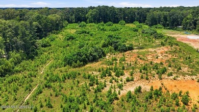 Rare opportunity to own approximately 17.65+/- acres in Brandon - photo 27