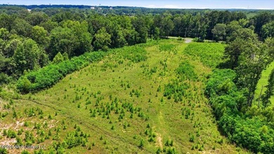 Rare opportunity to own approximately 17.65+/- acres in Brandon - photo 28