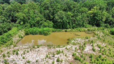 Rare opportunity to own approximately 17.65+/- acres in Brandon - photo 29
