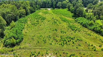 Rare opportunity to own approximately 17.65+/- acres in Brandon - photo 30