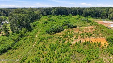 Rare opportunity to own approximately 17.65+/- acres in Brandon - photo 31