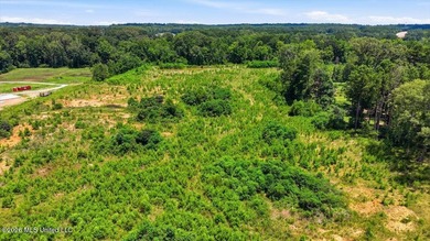Rare opportunity to own approximately 17.65+/- acres in Brandon - photo 32