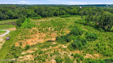 Rare opportunity to own approximately 17.65+/- acres in Brandon - photo 33