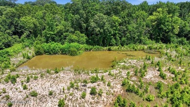 Rare opportunity to own approximately 17.65+/- acres in Brandon - photo 34